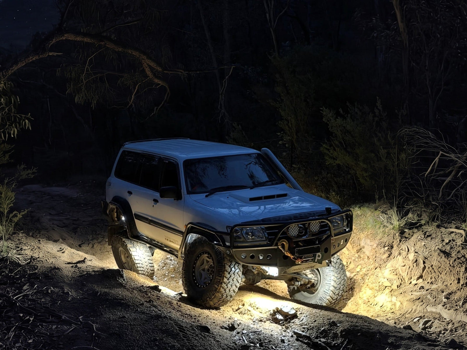 Rock Light Pro Installation Guide