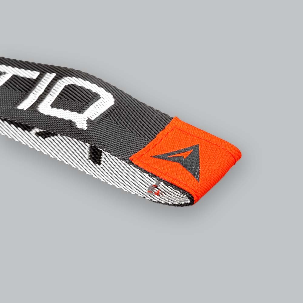 ALTIQ Keychain
