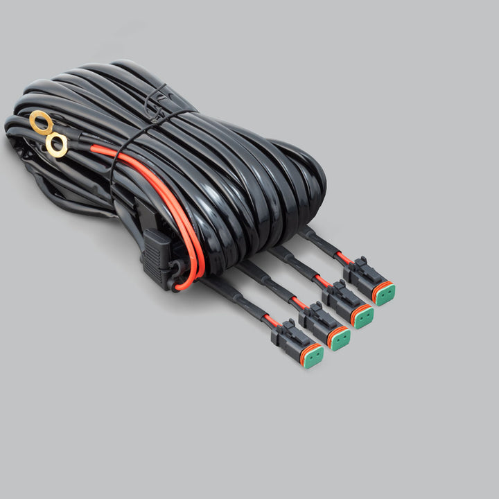 Quad Output Wiring Harness -DT Plugs