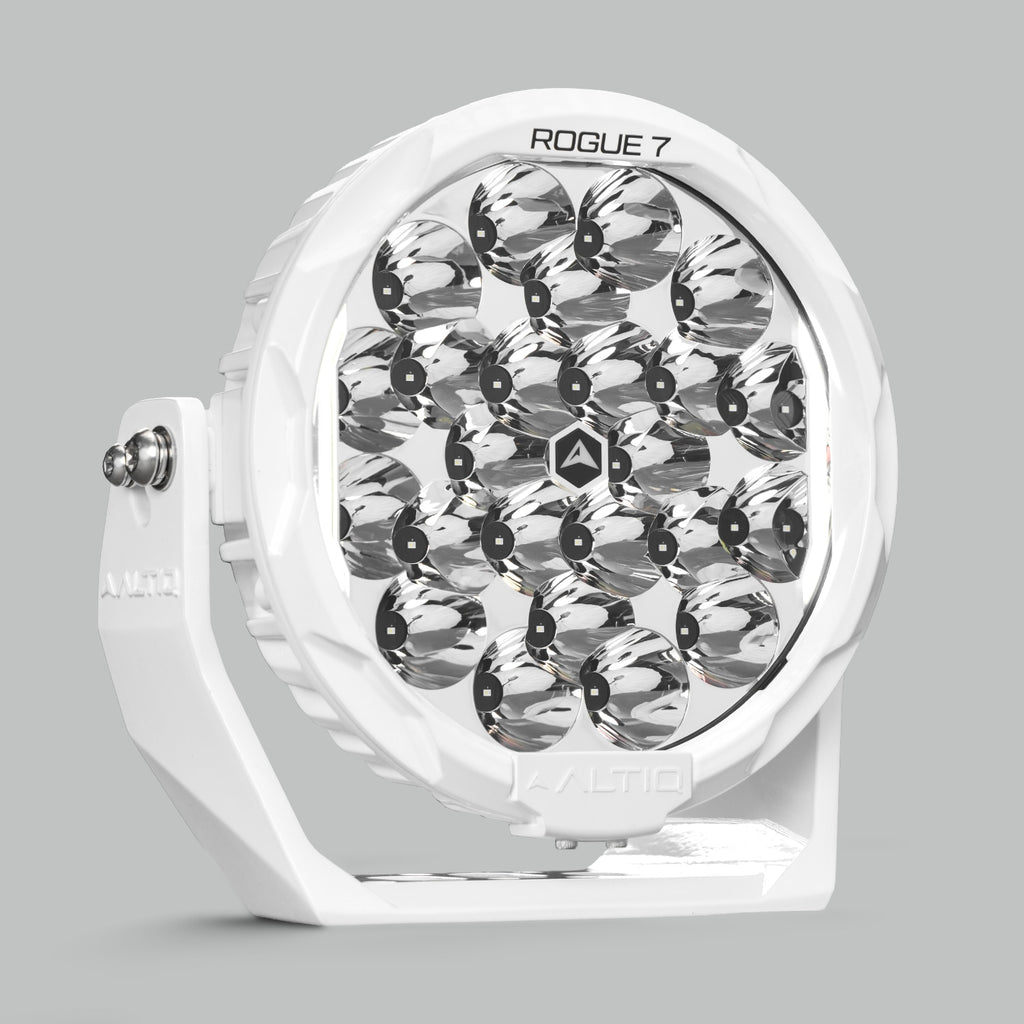 Arctic White - Single