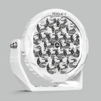 Arctic White - Single